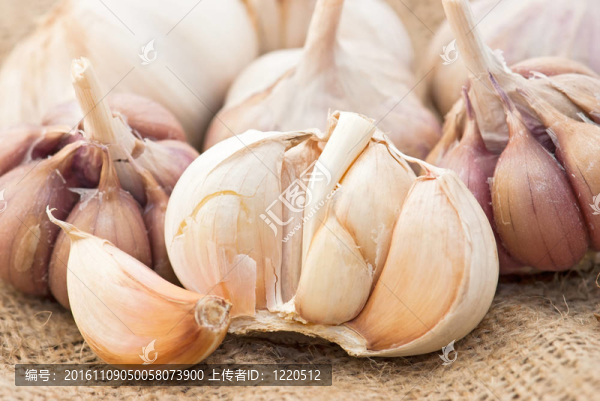 帆布袋里的大蒜
