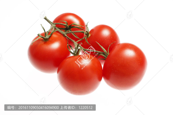 鮮紅色的西紅柿