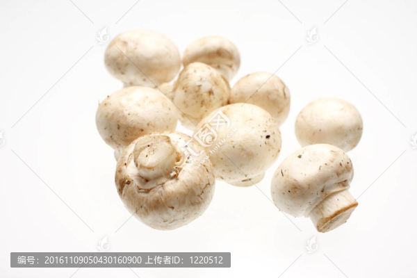 crimini蘑菇