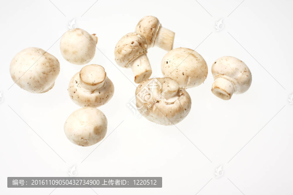 crimini蘑菇
