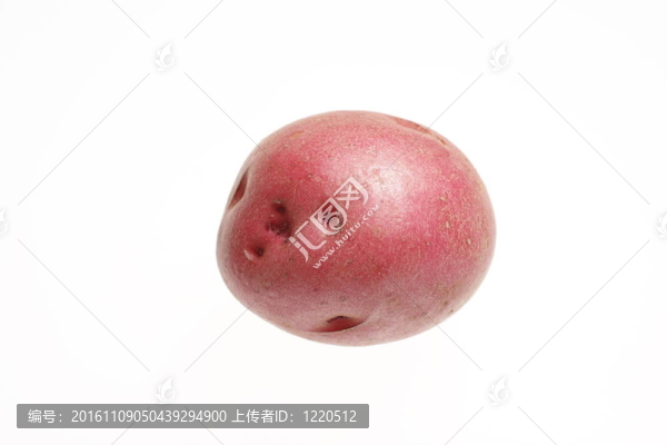 紅色的土豆