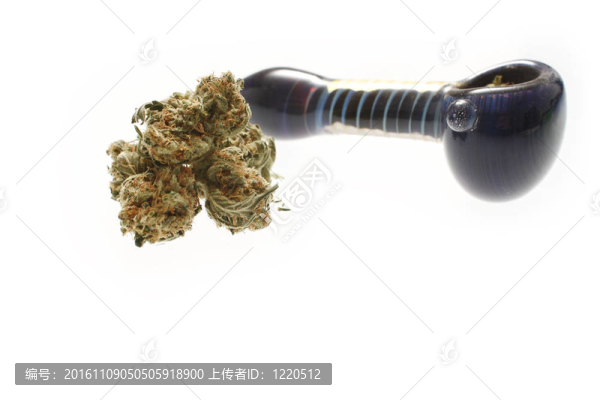醫(yī)用大麻