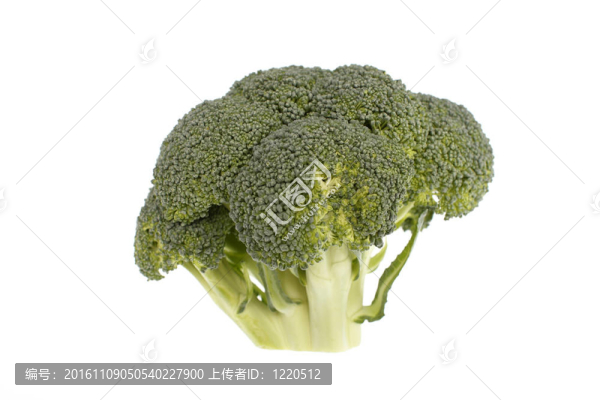 新鮮花椰菜的頭