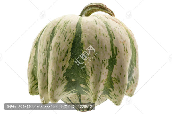 白色背景上的彩色南瓜。