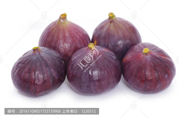 無(wú)花果