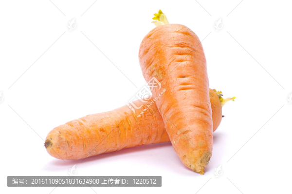 胡蘿卜