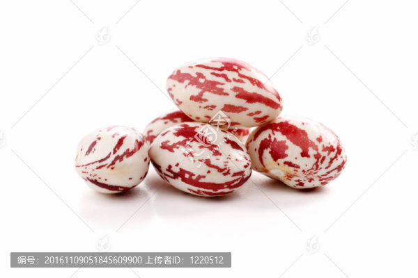 Borlotti豆