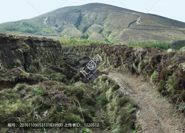 亞速爾群島的風(fēng)景