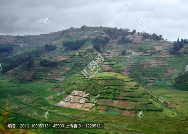 維龍加山鳥瞰