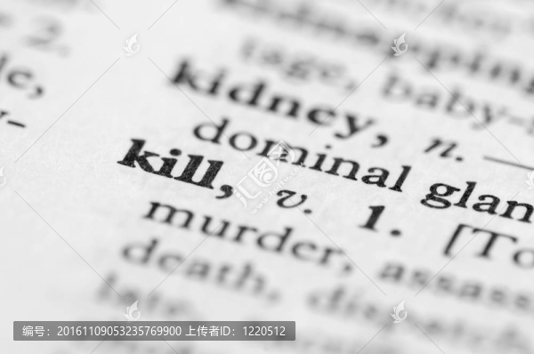 字典系列-殺