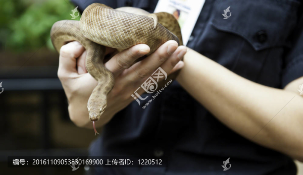 兒童的Python