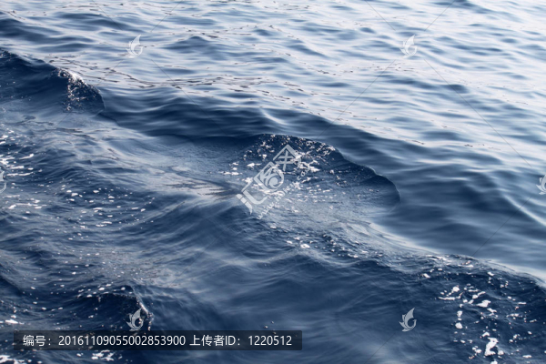 海水