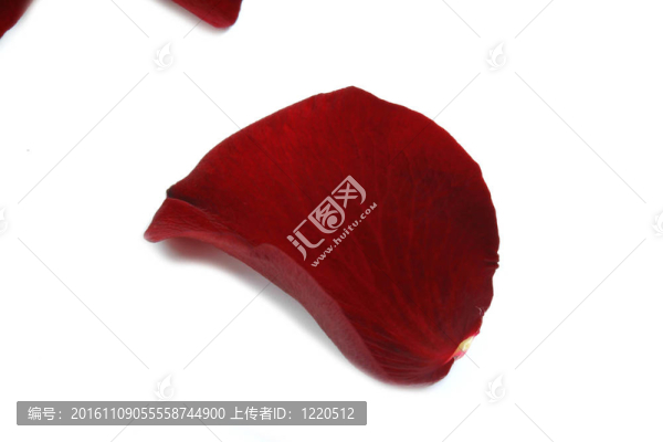 玫瑰花瓣