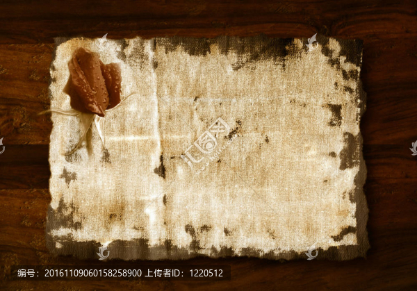 玫瑰花蕾浪漫的背景