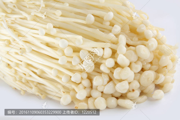 白蘑菇