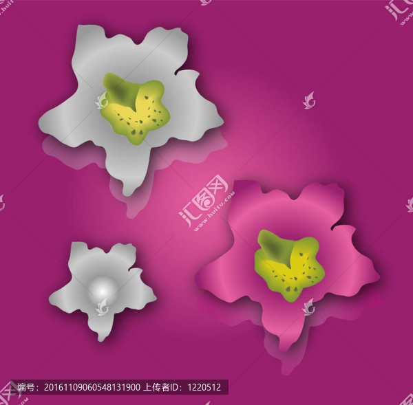 花朵、蘭花、粉紅色和紫羅蘭的收集網(wǎng)