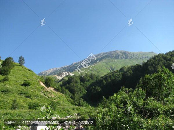 山