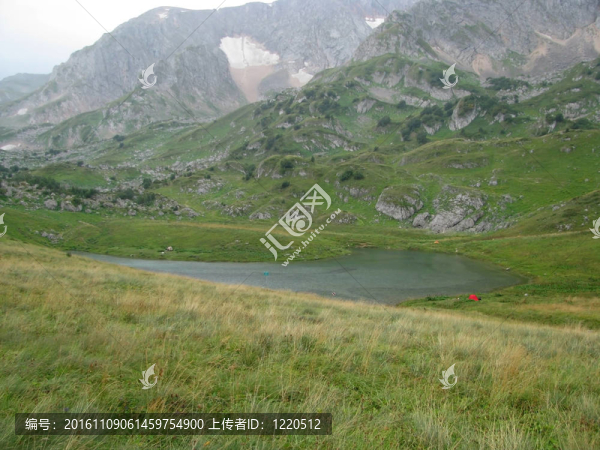 山
