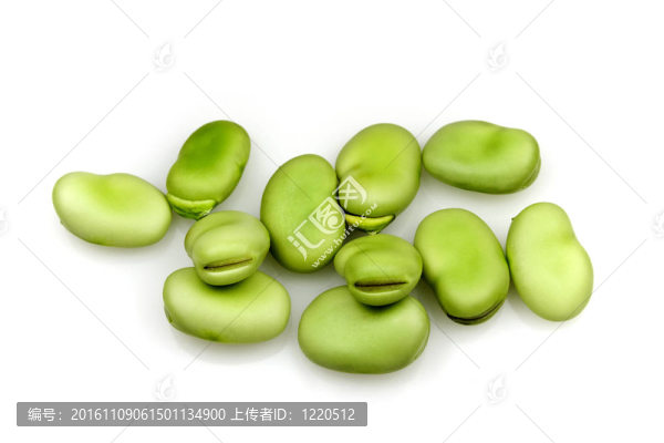 新鮮的蠶豆
