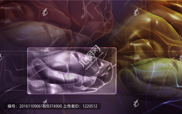 腦