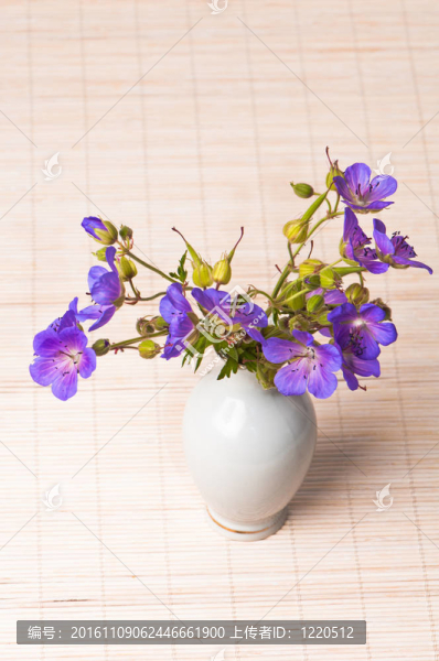 花瓶里的野花