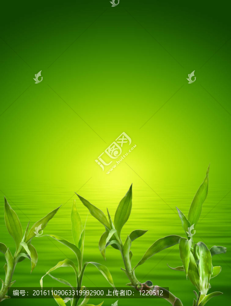 竹的背景