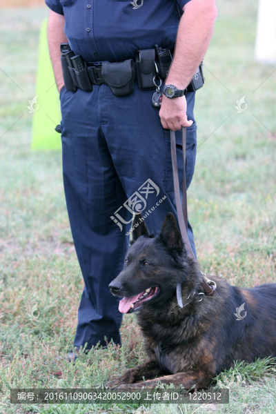 警犬