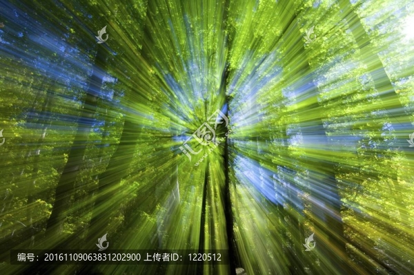 色彩爆炸