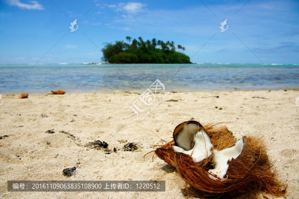 熱帶海灘場(chǎng)景。