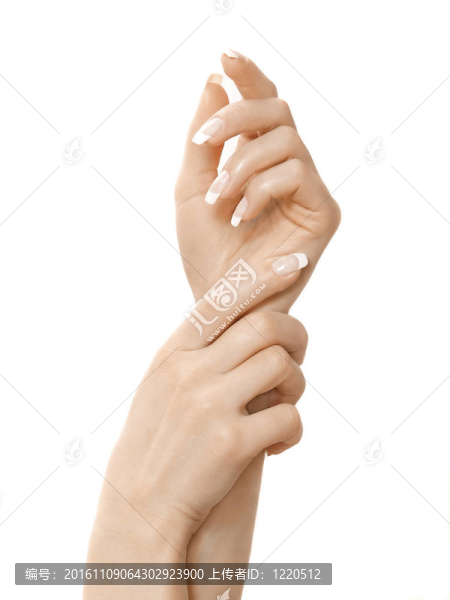 手和手指
