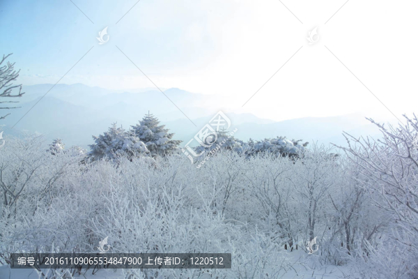 自然觀