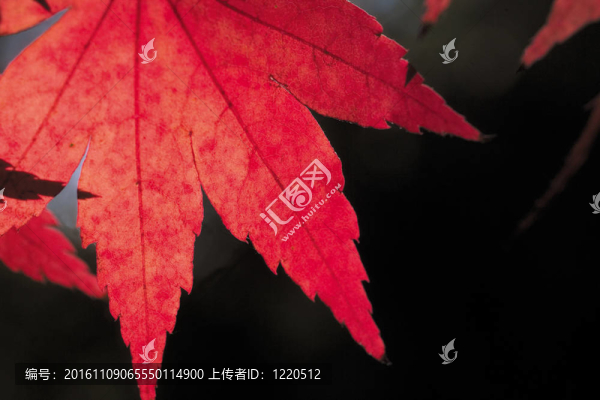 自然觀