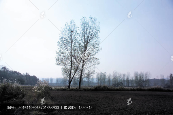 自然觀