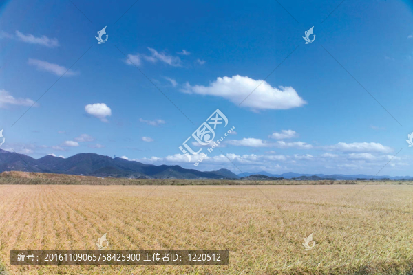 自然觀