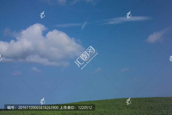 自然觀
