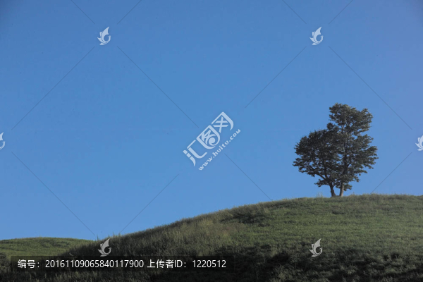 自然觀