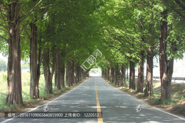自然觀