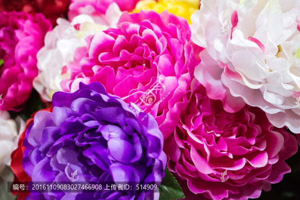鮮花