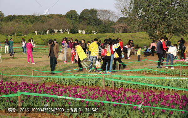 合肥植物園,游人