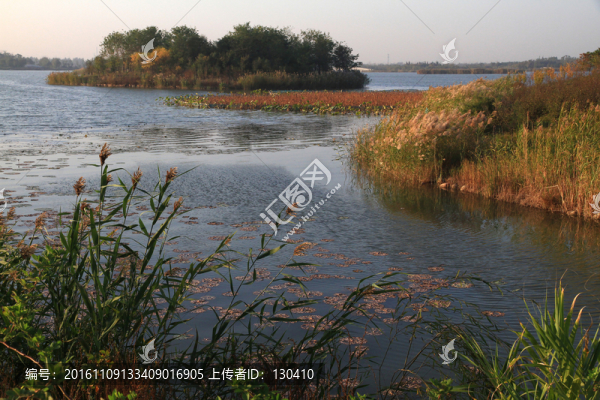 濕地公園