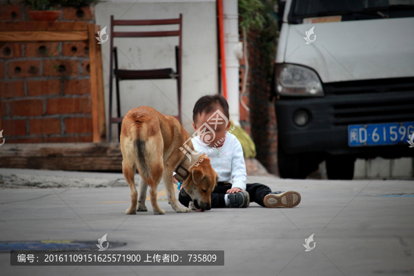 狗與幼兒