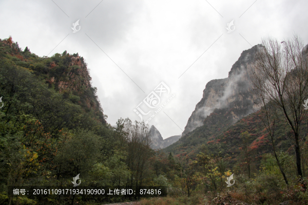 開封,（43）