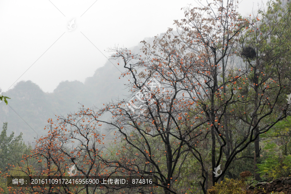 開封,（170）