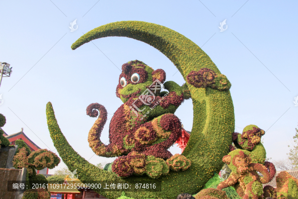 菊展