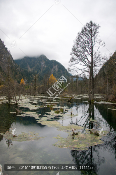 畢棚溝風(fēng)景