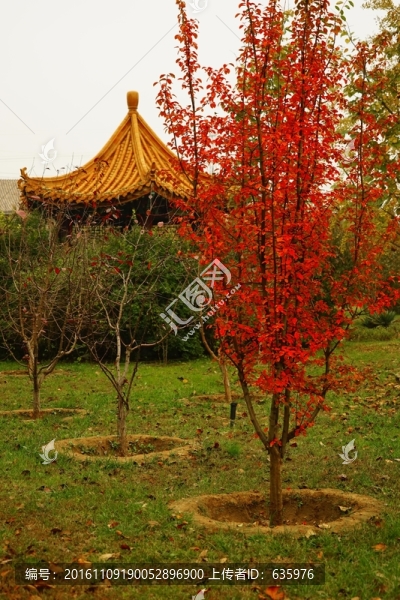 f風(fēng)景
