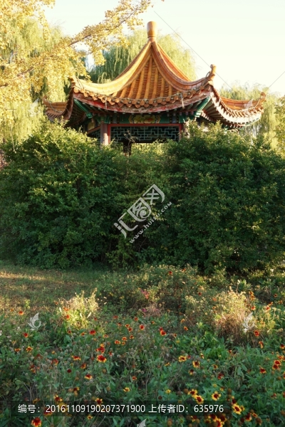 風(fēng)景