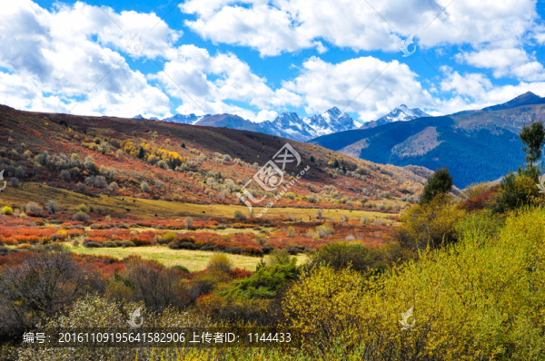 彩林雪山