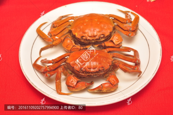 陽澄湖大閘蟹