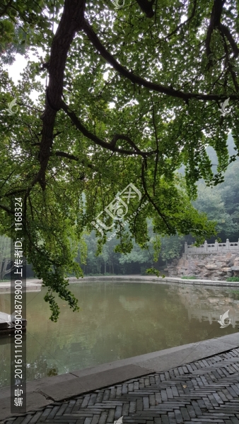 香山靜翠湖